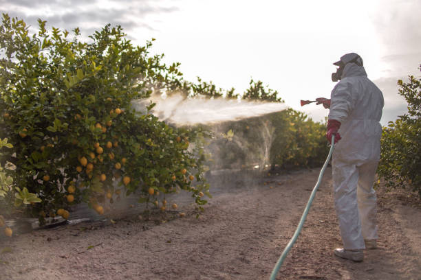 Best Pest Inspection Near Me  in North Augusta, SC