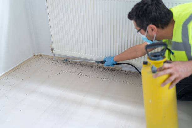Professional Pest Control in North Augusta, SC